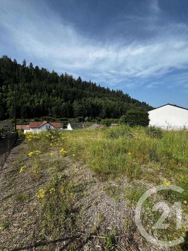 terrain - REMIREMONT - 88